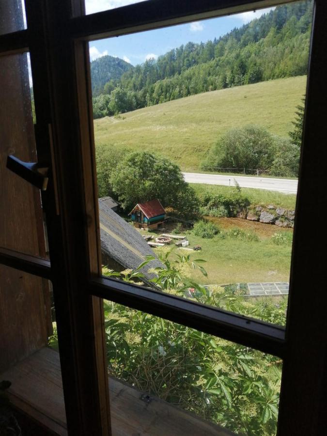 Apartment Nazbauerhof Rohr im Gebirge Zewnętrze zdjęcie